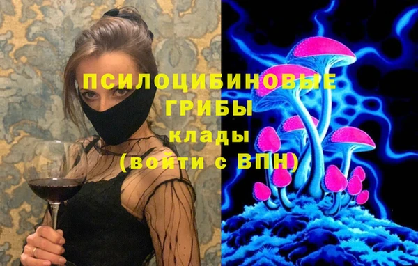 крисы Бугульма