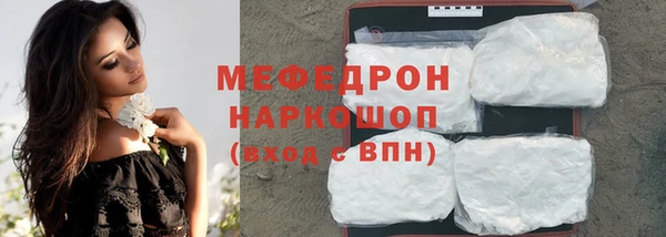стафф Новозыбков