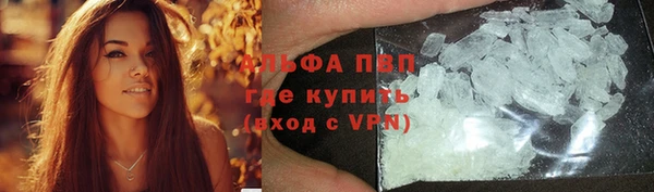 стафф Новозыбков