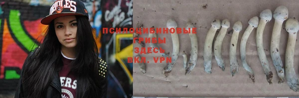 мет Бородино