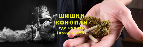 СК Бронницы