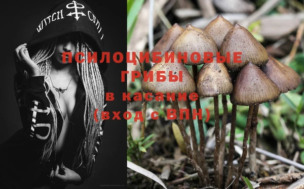 марки lsd Нея