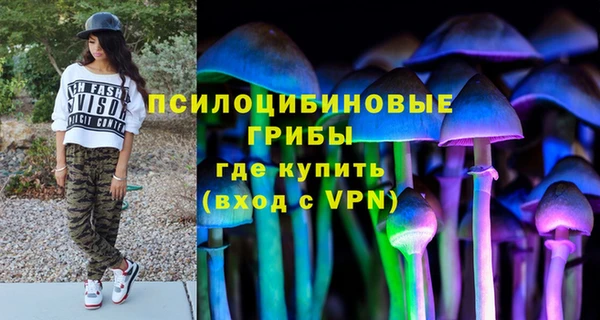 СК Бронницы