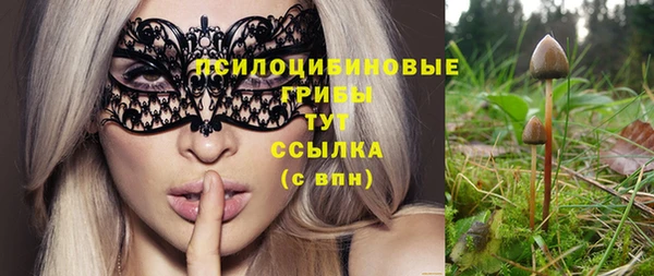 СК Бронницы