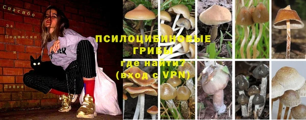 крисы Бугульма
