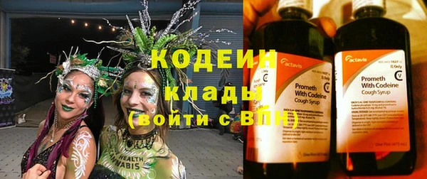 стафф Новозыбков