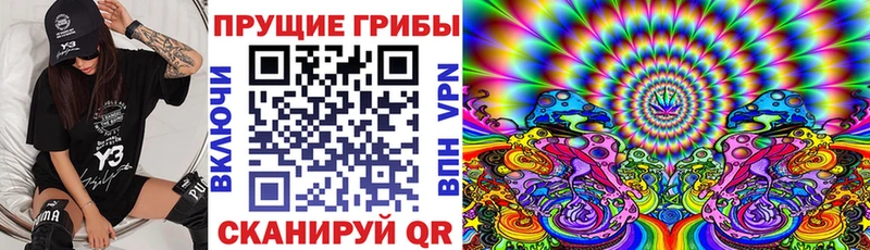 хочу наркоту Йошкар-Ола Псилоцибиновые грибы ЛСД